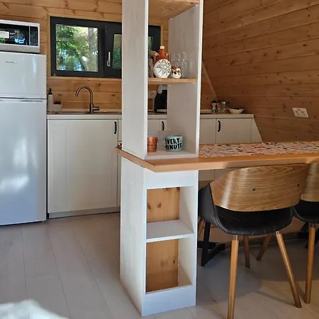 A Frame Cuib De Vultur 木屋 波卢巴库苏斯